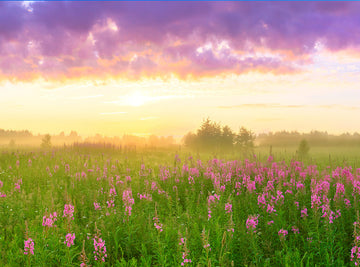 Scenic Backdrops Western Background Photography Backdrops Beautiful ...