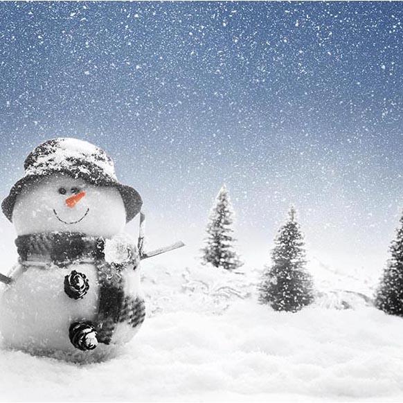 Season Backdrop Winter Background Snowflake Backdrop Snow Man G-518 ...