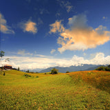 Pleasant Scenery Background Field Manor Sky Portrait Photography Backdrop IBD-20128 - iBACKDROP-Field Manor Sky, For Photography, Natural Scenery Background, Photo Background, Photography Background, Portrait Backdrops, Portrait Photography backdrops, Scenery Background, Scenic Backdrops